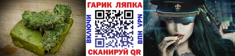 Canna-Cookies конопля  Сясьстрой 
